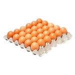 30 Chicken Eggs (Walking Chicken)